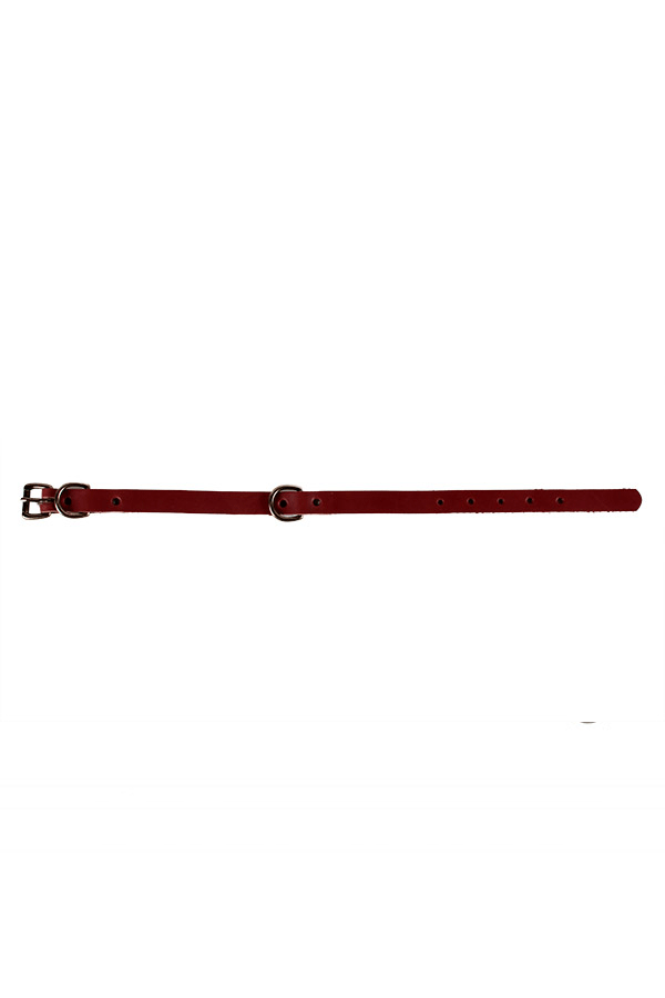 Union Wood Co. Dog Collar - Brown Union Wood Co. Dog Collar - Brown