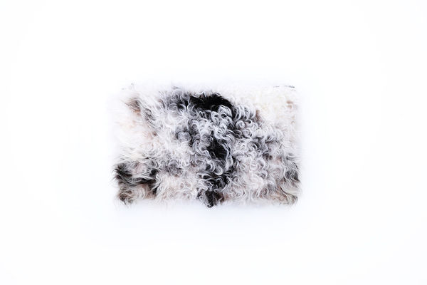 Primecut FURRY LAMB CLUTCH #5 Primecut FURRY LAMB CLUTCH #5