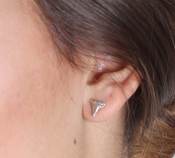Sarah Dunn Shark Tooth Studs Sarah Dunn Shark Tooth Studs