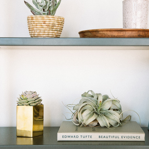 solid brass geometric planter solid brass geometric planter