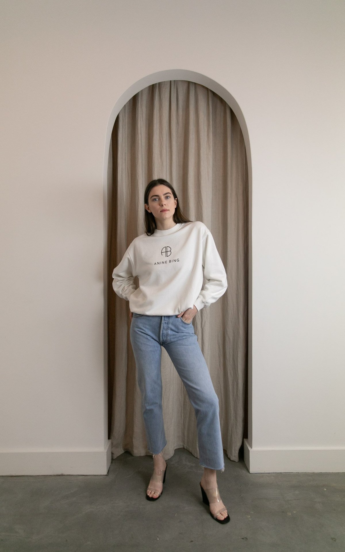anine bing monogram sweatshirt