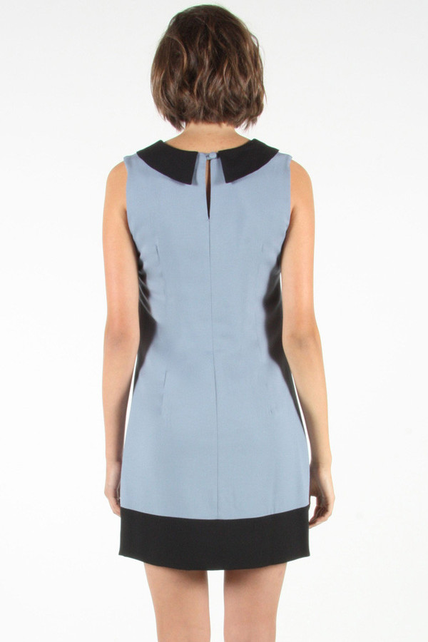 Birds of North America Gatherer Dress POP-UP SALE Birds of North America Gatherer Dress POP-UP SALE