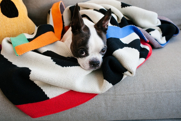 Dusen Dusen Shapes Throw Blanket Dusen Dusen Shapes Throw Blanket