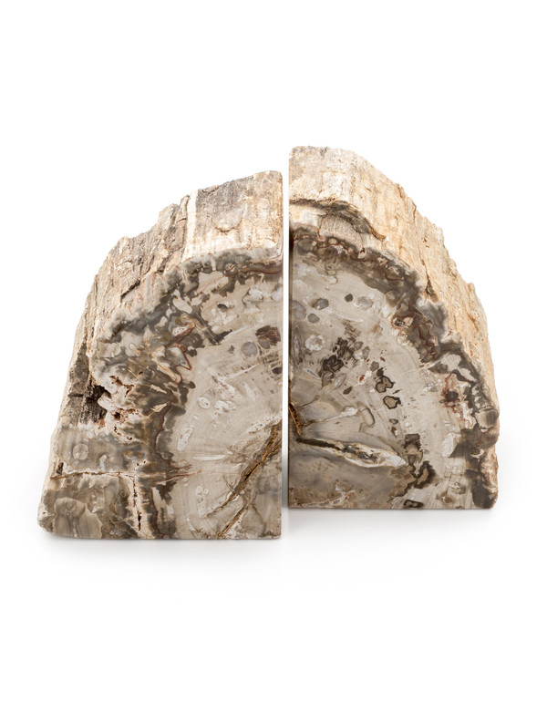 ROOST PETRIFIED WOOD BOOK END ROOST PETRIFIED WOOD BOOK END