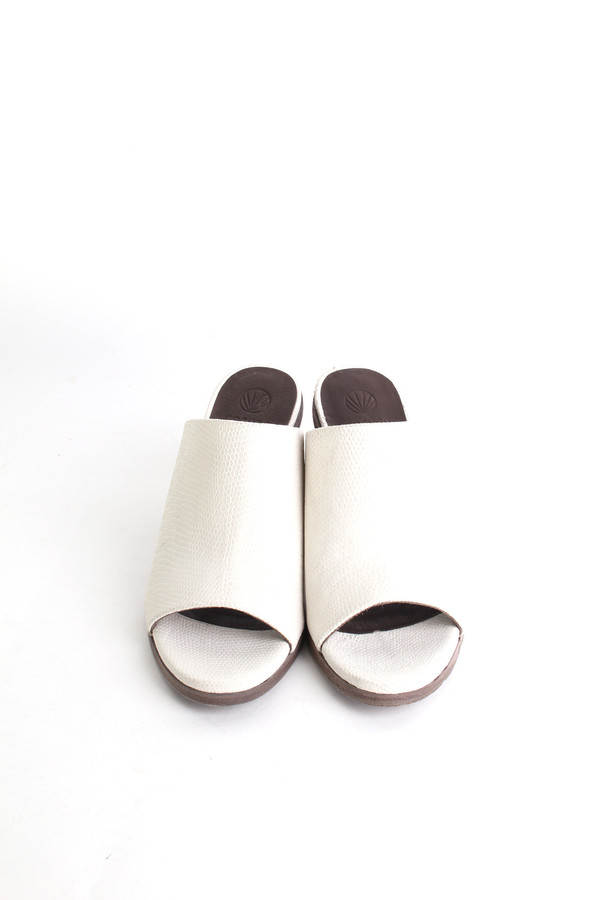 Coclico Aneme slide in guya powder Coclico Aneme slide in guya powder