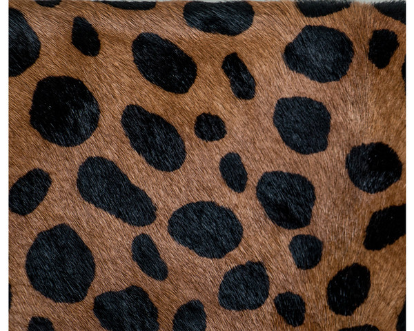 Clare V. Foldover Clutch in Leopard Hair Clare V. Foldover Clutch in Leopard Hair