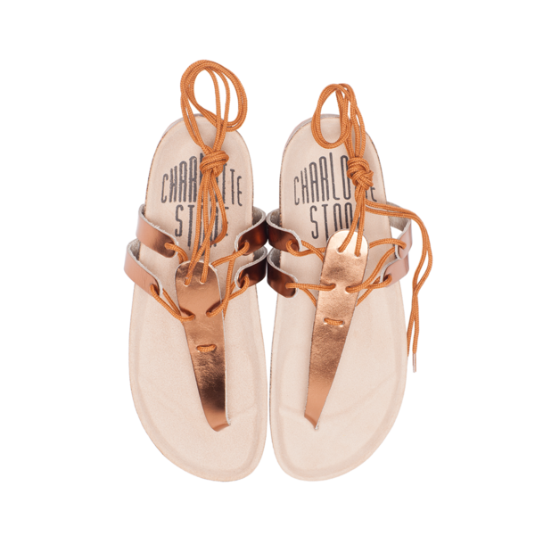 Charlotte Stone Jasper Charlotte Stone Jasper