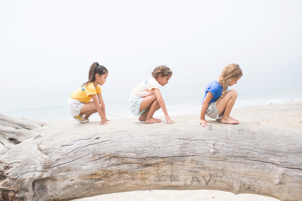 nico nico Eastwood Surf Short Almond nico nico Eastwood Surf Short Almond