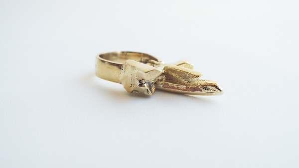 Species By The Thousands Gateway Ring Species By The Thousands Gateway Ring
