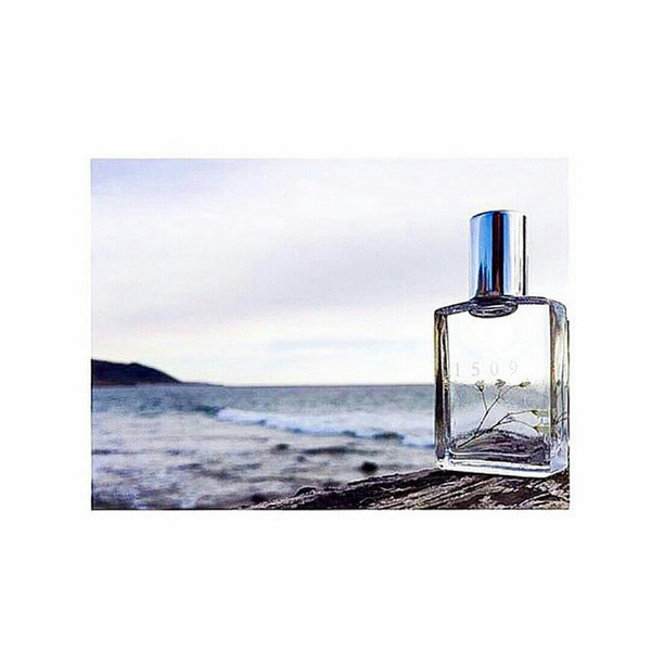 1509 Sophia Pure Fragrance Oil 1509 Sophia Pure Fragrance Oil