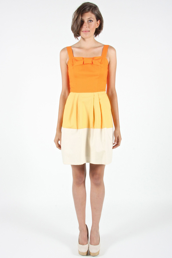 Birds of North America - Spinetail Dress Birds of North America - Spinetail Dress