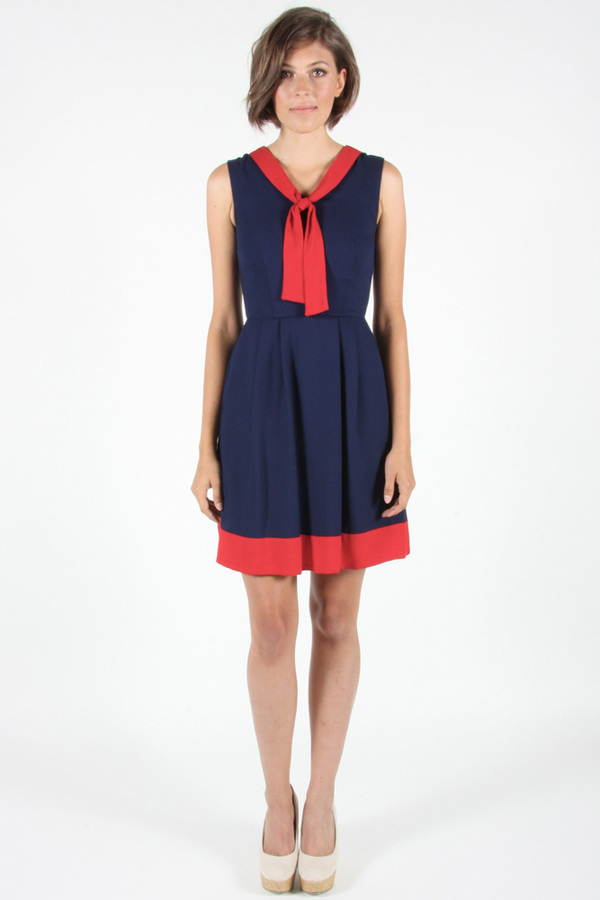 Birds of North America - Hillstar Dress Birds of North America - Hillstar Dress