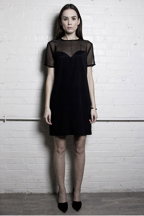 The Sheer Panel Dress The Sheer Panel Dress