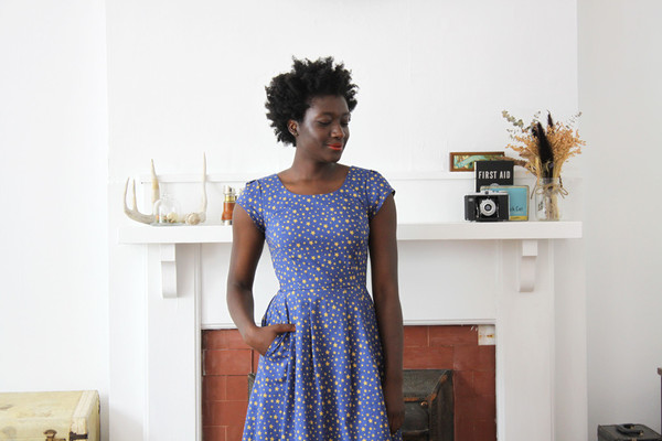 Birds of North America Macaw Dress Stars Print Birds of North America Macaw Dress Stars Print