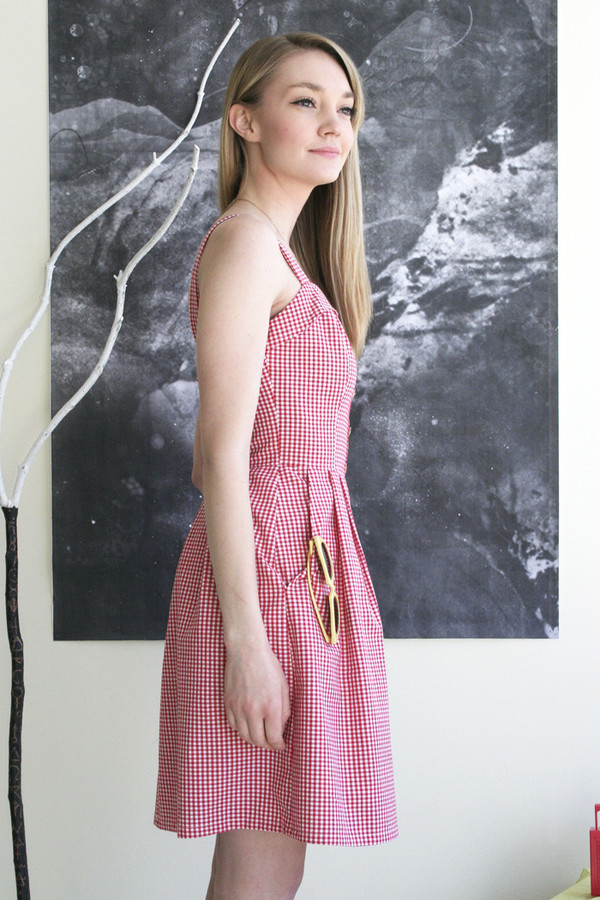 Birds of North America Sylph Dress - Red Gingham Birds of North America Sylph Dress - Red Gingham