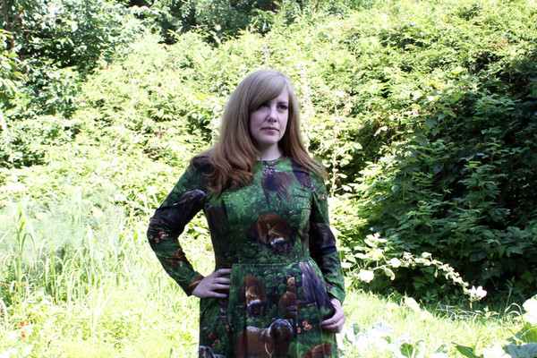 Birds of North America Puffbird Dress (Woods) Birds of North America Puffbird Dress (Woods)